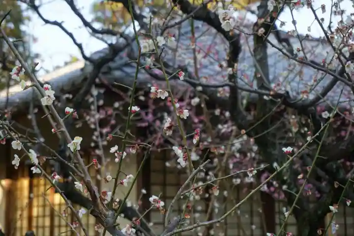 七尾神社の周辺