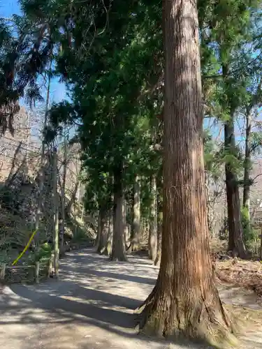 十和田神社(青森県)