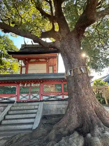 生根神社(大阪府)