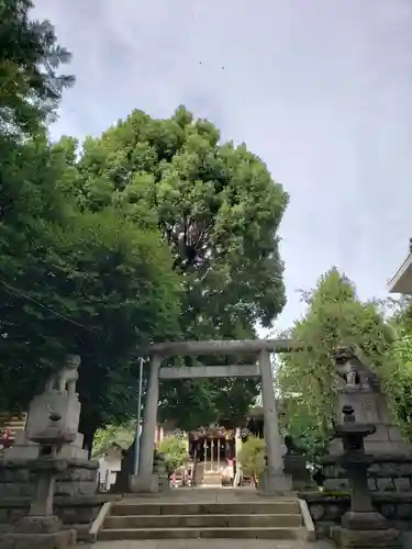 諏訪神社の鳥居