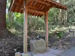 佐志能神社の手水