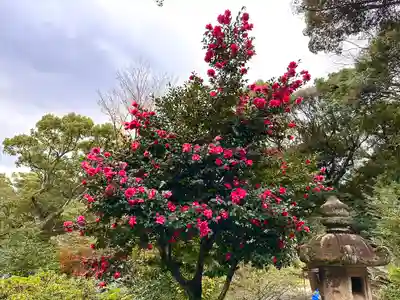 一宮神社(福岡県)