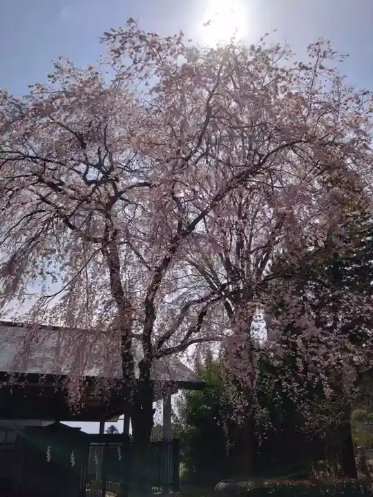 蒲生神社(栃木県)