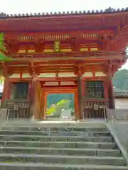 金剛寺(大阪府)