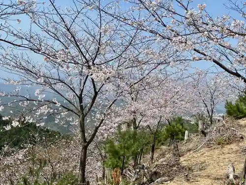 金峯神社（吉野町）の自然