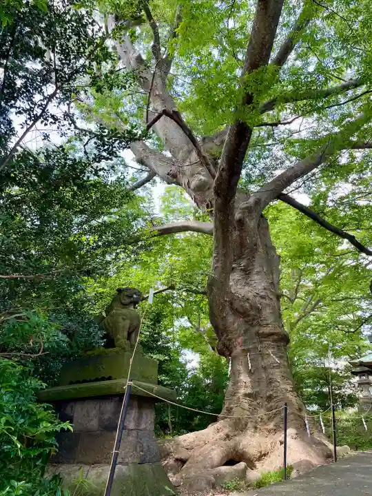 愛宕神社(福島県)