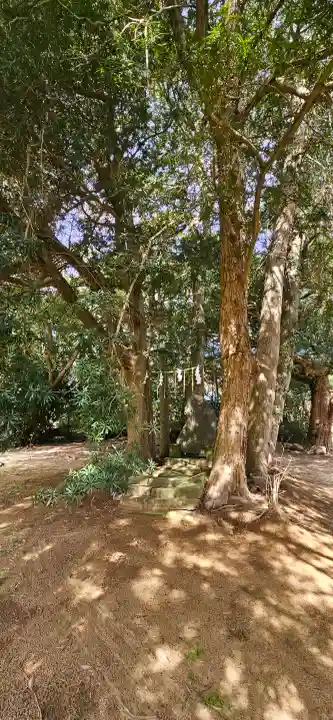 海上八幡宮の{uncategorized: "未分類", other: "その他", undefined: "問題あり", building: "その他建物", grave: "お墓", sacred_gate: "鳥居", guardian: "狛犬", statue: "像", buddha: "仏像", history: "歴史", nature: "自然", garden: "庭園", animal: "動物", pagoda: "塔", temizu: "手水舎", mountain_gate: "山門・神門", sanctuary: "本殿・本堂", subordinate: "末社・摂社", art: "芸術", scenery: "景色", jizo: "地蔵", ema: "絵馬", goshuin: "御朱印", omikuji: "おみくじ", items: "授与品その他", amulet: "お守り", goshuincho: "御朱印帳", eats: "食事", festival: "お祭り", votive_dance: "神楽", shichigosan: "七五三参", wedding: "結婚式", experience: "体験その他", initially: "初詣", around: "周辺", anti_infection: "感染症対策"}