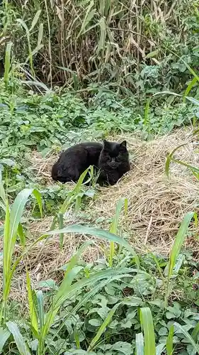 乳清水神社の動物