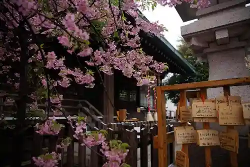 新宿下落合氷川神社の自然