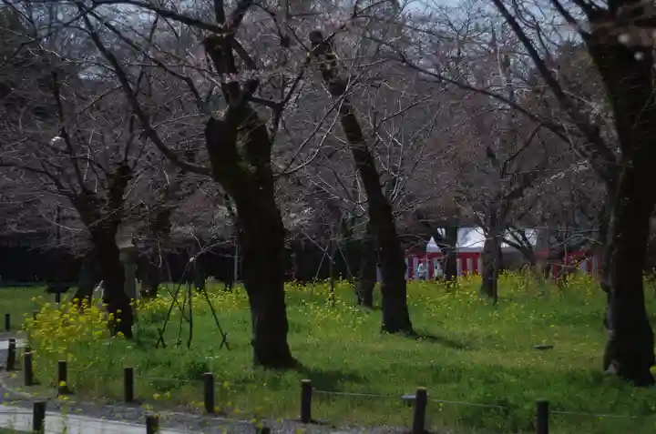 平野神社(京都府)