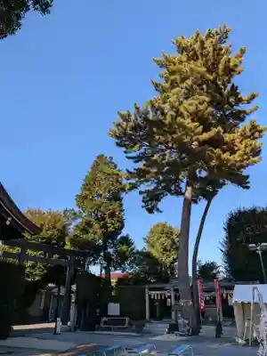 中野沼袋氷川神社(東京都)