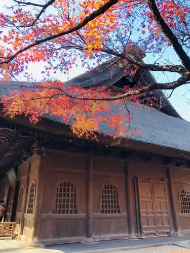 平林寺の本殿・本堂