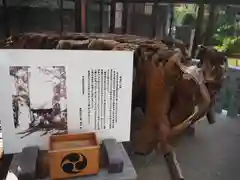 天沼熊野神社(東京都)