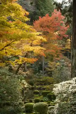 三千院門跡(京都府)