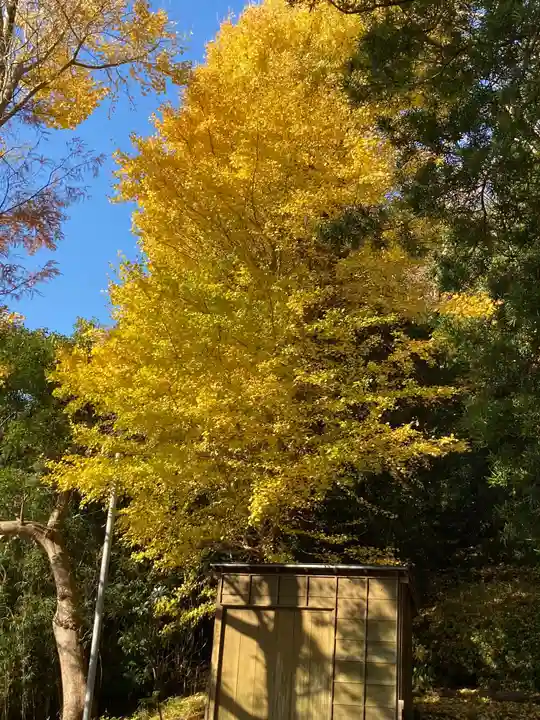 十二所神社の自然