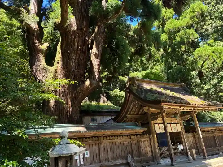 若狭姫神社(若狭彦神社下社)(福井県)