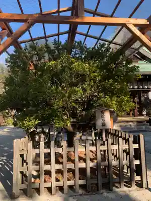 白峯神宮(京都府)