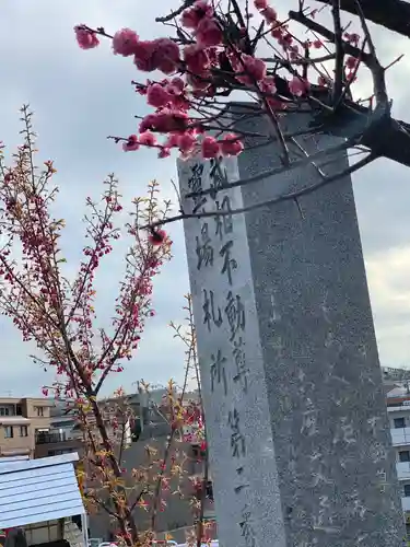 身代り不動尊　大明王院　川崎別格本山のその他建物