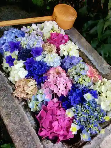 本郷氷川神社(東京都)