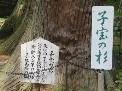 日枝神社の歴史
