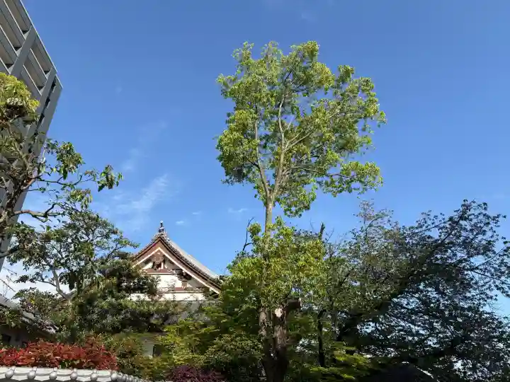 専念寺の{uncategorized: "未分類", other: "その他", undefined: "問題あり", building: "その他建物", grave: "お墓", sacred_gate: "鳥居", guardian: "狛犬", statue: "像", buddha: "仏像", history: "歴史", nature: "自然", garden: "庭園", animal: "動物", pagoda: "塔", temizu: "手水舎", mountain_gate: "山門・神門", sanctuary: "本殿・本堂", subordinate: "末社・摂社", art: "芸術", scenery: "景色", jizo: "地蔵", ema: "絵馬", goshuin: "御朱印", omikuji: "おみくじ", items: "授与品その他", amulet: "お守り", goshuincho: "御朱印帳", eats: "食事", festival: "お祭り", votive_dance: "神楽", shichigosan: "七五三参", wedding: "結婚式", experience: "体験その他", initially: "初詣", around: "周辺", anti_infection: "感染症対策"}
