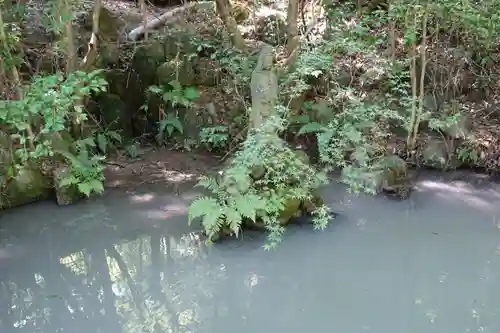 勝持寺（花の寺）の仏像