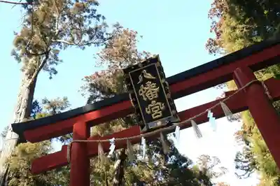 大崎八幡宮の鳥居