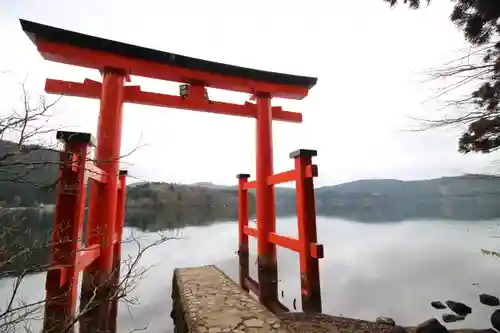 箱根神社の鳥居