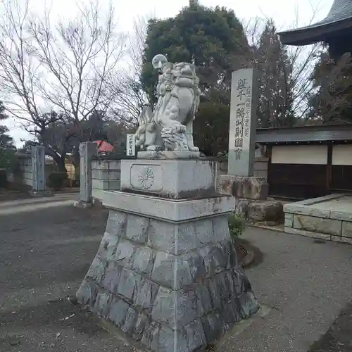 妙法寺(金色不動尊)の狛犬