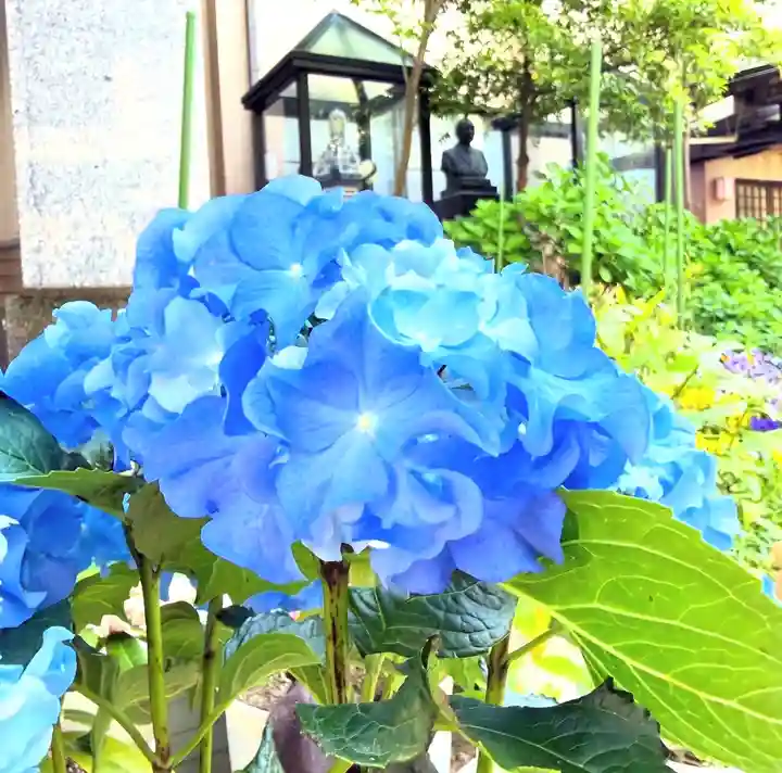 十日恵比須神社(福岡県)