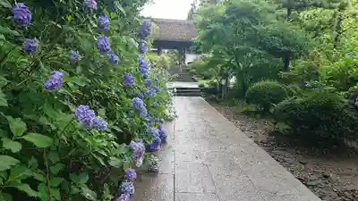 大聖寺（土浦大師不動尊）のその他建物