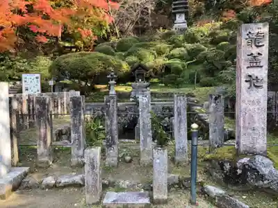 岡寺(龍蓋寺)(奈良県)