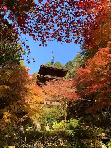 金剛輪寺の塔