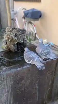 薬師神社(埼玉県)