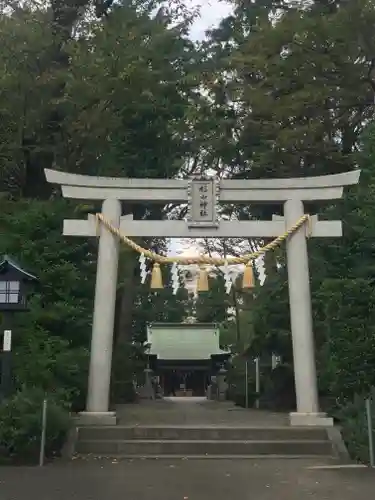 星川杉山神社の鳥居