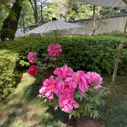 上野東照宮(東京都)