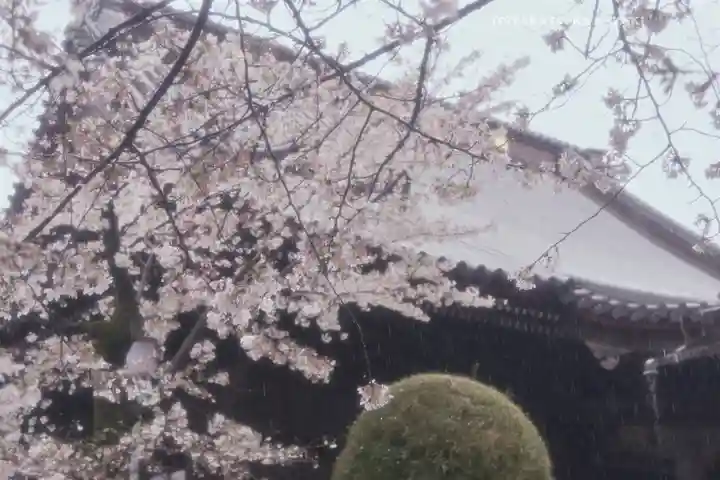 寛永寺(根本中堂)(東京都)