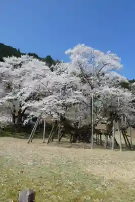 淡墨観音(岐阜県)