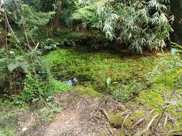 玉藻稲荷神社の自然