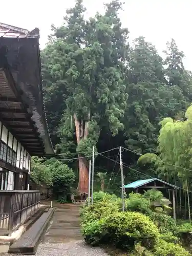 大中寺(栃木県)