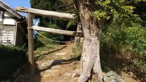 八大龍神社の鳥居