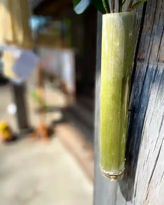 伊達神社のその他建物