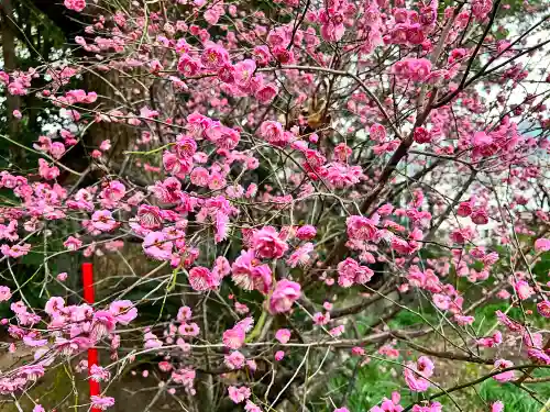 松森天満宮(長崎県)