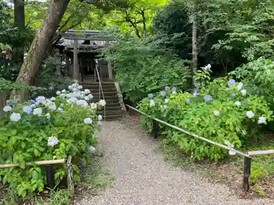 観音寺(京都府)