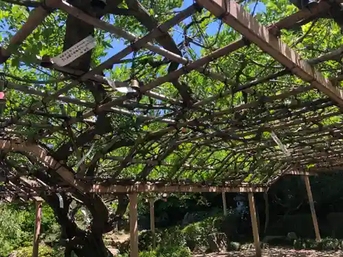 金蛇水神社(宮城県)