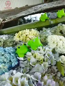 立志神社(滋賀県)(2024年06月07日(金) 17時59分08秒投稿)