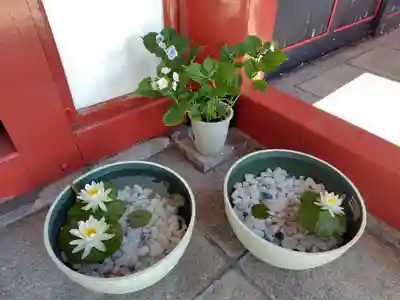 北海道護國神社の手水舎