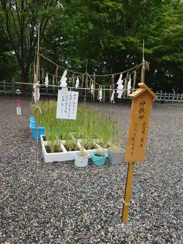 上川神社の庭園