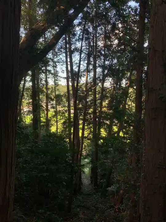 天満神社の自然