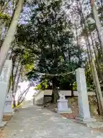 神前神社の{uncategorized: "未分類", other: "その他", undefined: "問題あり", building: "その他建物", grave: "お墓", sacred_gate: "鳥居", guardian: "狛犬", statue: "像", buddha: "仏像", history: "歴史", nature: "自然", garden: "庭園", animal: "動物", pagoda: "塔", temizu: "手水舎", mountain_gate: "山門・神門", sanctuary: "本殿・本堂", subordinate: "末社・摂社", art: "芸術", scenery: "景色", jizo: "地蔵", ema: "絵馬", goshuin: "御朱印", omikuji: "おみくじ", items: "授与品その他", amulet: "お守り", goshuincho: "御朱印帳", eats: "食事", festival: "お祭り", votive_dance: "神楽", shichigosan: "七五三参", wedding: "結婚式", experience: "体験その他", initially: "初詣", around: "周辺", anti_infection: "感染症対策"}